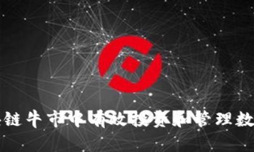 如何在区块链牛市中有效投资和管理数字货币资产