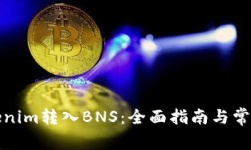 如何将Tokenim转入BNS：全面指南与常见问题解答