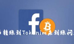 如何解决火币转账到Tokenim未到账问题的详细指南