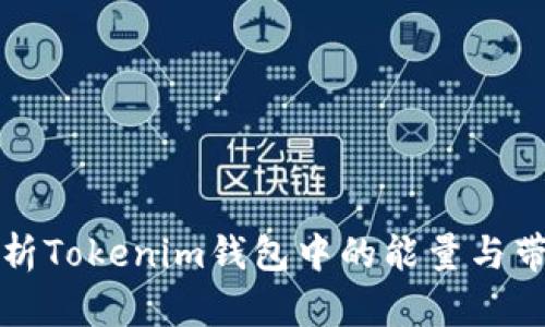 全面解析Tokenim钱包中的能量与带宽功能