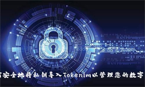 如何安全地将私钥导入Tokenim以管理您的数字资产
