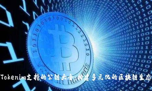 Tokenim支持的公链大全：构建多元化的区块链生态