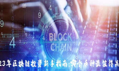   
2023年区块链投资新手指南：哪个币种最值得关注？