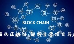 币圈的区块链：解析主要项目与趋势