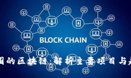 币圈的区块链：解析主要项目与趋势