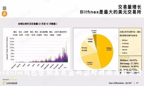 Tokenim钱包密钥丢失后的应对措施与解决方案