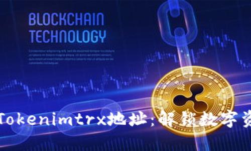 深入了解Tokenimtrx地址：解锁数字资产的未来