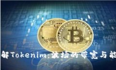 理解Tokenim：波场的带宽与能量