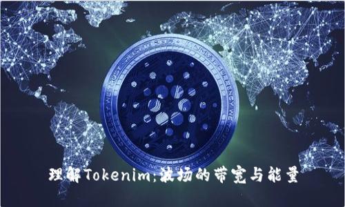 理解Tokenim：波场的带宽与能量