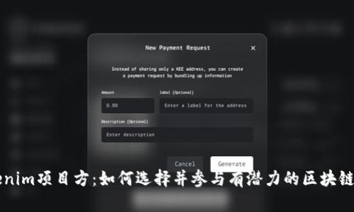 Tokenim项目方：如何选择并参与有潜力的区块链项目