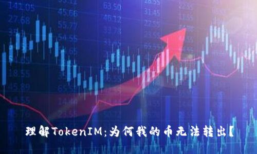 理解TokenIM：为何我的币无法转出？